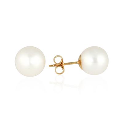 10-10.5MM Natural South Sea white Pearl Stud Earring in 14K Gold  