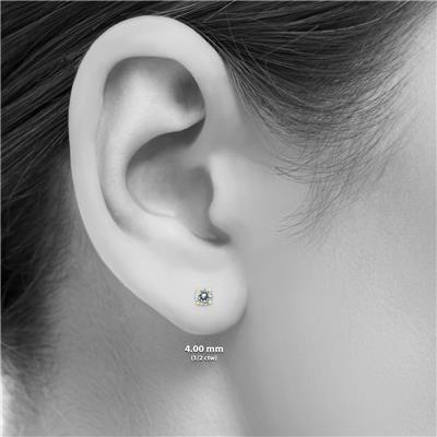 1/2 Carat TW Diamond Studs Screw Back Earrings in 14K Yellow Gold