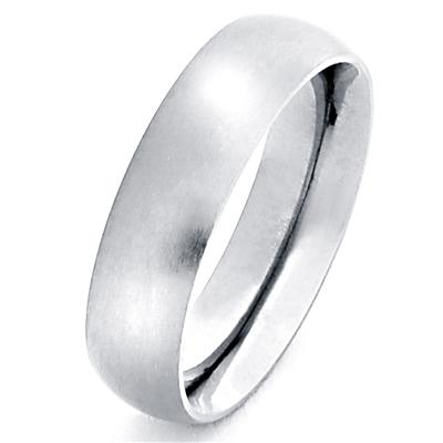 Domed Brushed Titanium Band (6mm)
