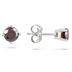 1/2 CTW Cognac Diamond Studs in 14K White Gold