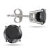 2 Carat TW Round Solitaire Black Diamond Stud Earrings in .925 Sterling Silver