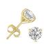 2 Carat TW Lab Grown Diamond Martini Set Round Earrings in 14K Yellow Gold