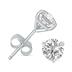 3 Carat TW Lab Grown Diamond Martini Set Round Earrings in 14K White Gold