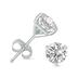4 Carat TW Lab Grown Diamond Martini Set Round Earrings in 14K White Gold