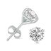 8 Carat TW Lab Grown Diamond Martini Set Round Earrings in 14K White Gold