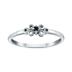 0.03 Carat Black Diamond Promise Ring in 10K White Gold 
