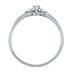 0.03 CTW Diamond Promise Ring in 10K White Gold 