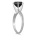 3 1/2 Carat Round Black Diamond Solitaire Ring in 10k White Gold
